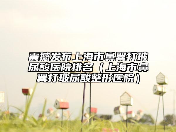 震撼发布上海市鼻翼打玻尿酸医院排名（上海市鼻翼打玻尿酸整形医院）