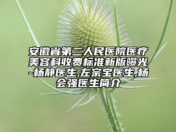 安徽省第二人民医院医疗美容科收费标准新版曝光-杨静医生,左宗宝医生,杨会强医生简介