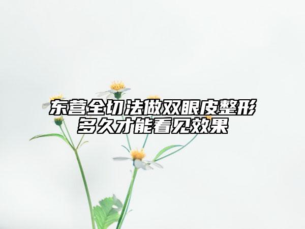 东营全切法做双眼皮整形多久才能看见效果