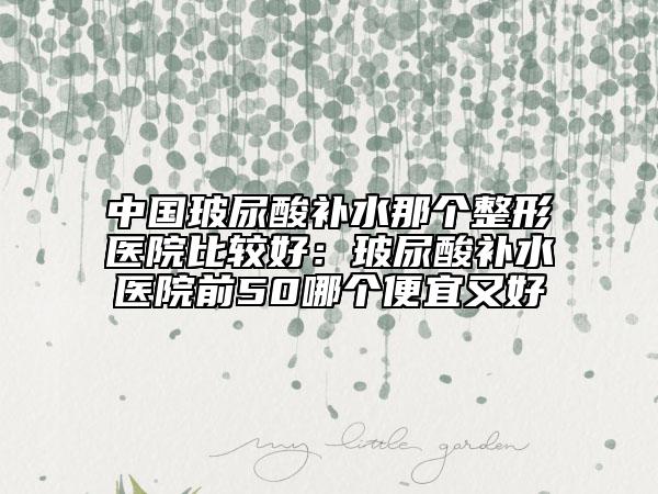 中国玻尿酸补水那个整形医院比较好：玻尿酸补水医院前50哪个便宜又好