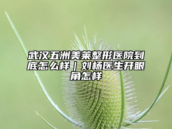 武汉五洲美莱整形医院到底怎么样｜刘杨医生开眼角怎样