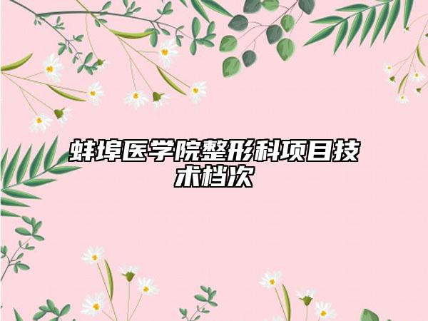 蚌埠医学院整形科项目技术档次