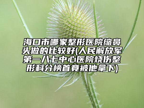 海口市哪家整形医院缩鼻头做的比较好(人民解放军第一八七中心医院烧伤整形科分榜首竟被他拿下)