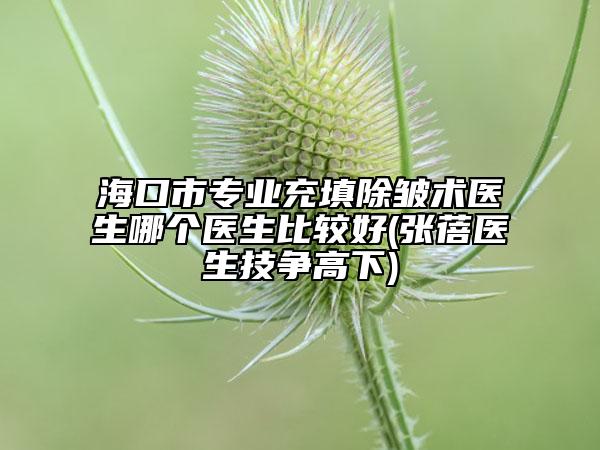 海口市专业充填除皱术医生哪个医生比较好(张蓓医生技争高下)