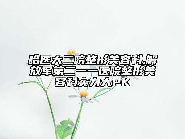 哈医大二院整形美容科,解放军第二一一医院整形美容科实力大PK