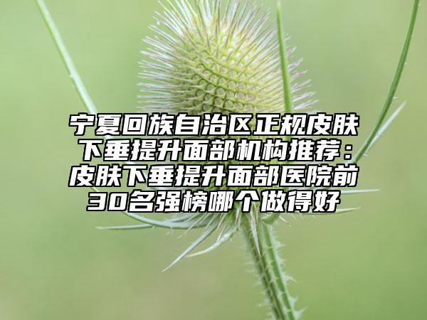 宁夏回族自治区正规皮肤下垂提升面部机构推荐：皮肤下垂提升面部医院前30名强榜哪个做得好