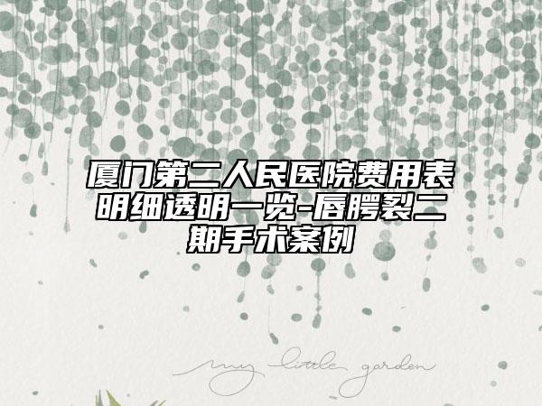 厦门第二人民医院费用表明细透明一览-唇腭裂二期手术案例