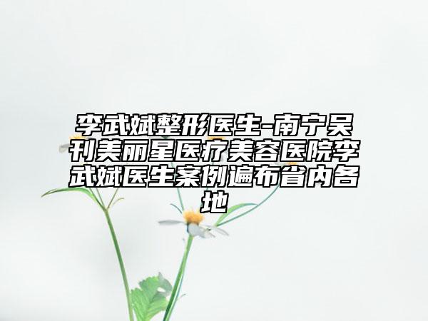 李武斌整形医生-南宁吴刊美丽星医疗美容医院李武斌医生案例遍布省内各地