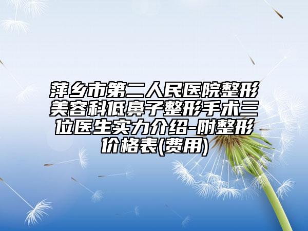 萍乡市第二人民医院整形美容科低鼻子整形手术三位医生实力介绍-附整形价格表(费用)