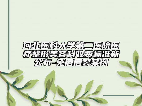 河北医科大学第二医院医疗整形美容科收费标准新公布-兔唇唇裂案例