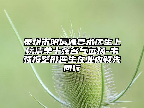 泰州市阴唇修复术医生上榜清单十强名气远扬-韦强梅整形医生在业内领先同行