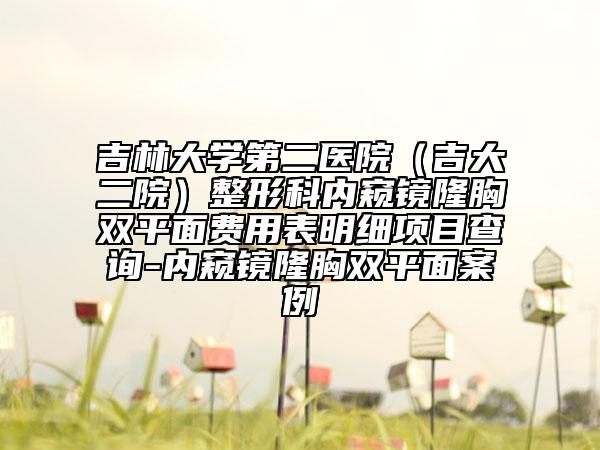 吉林大学第二医院（吉大二院）整形科内窥镜隆胸双平面费用表明细项目查询-内窥镜隆胸双平面案例