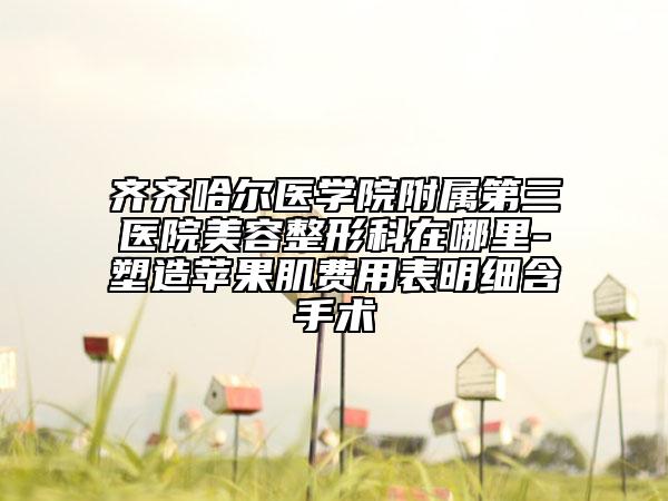 齐齐哈尔医学院附属第三医院美容整形科在哪里-塑造苹果肌费用表明细含手术