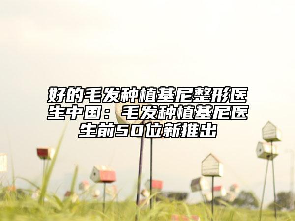 好的毛发种植基尼整形医生中国：毛发种植基尼医生前50位新推出