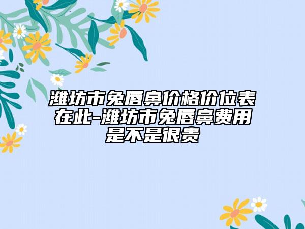 潍坊市兔唇鼻价格价位表在此-潍坊市兔唇鼻费用是不是很贵