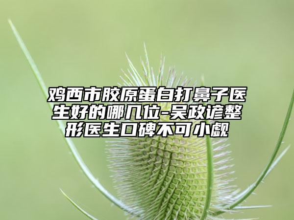 鸡西市胶原蛋白打鼻子医生好的哪几位-吴政谚整形医生口碑不可小觑