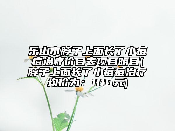 乐山市脖子上面长了小痘痘治疗价目表项目明目(脖子上面长了小痘痘治疗均价为：1110元)