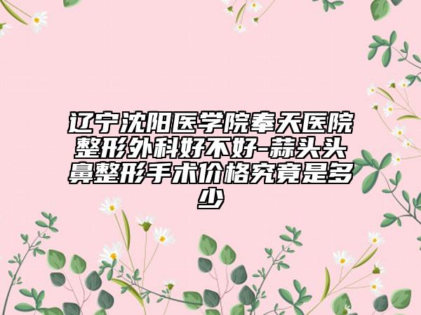 辽宁沈阳医学院奉天医院整形外科好不好-蒜头头鼻整形手术价格究竟是多少
