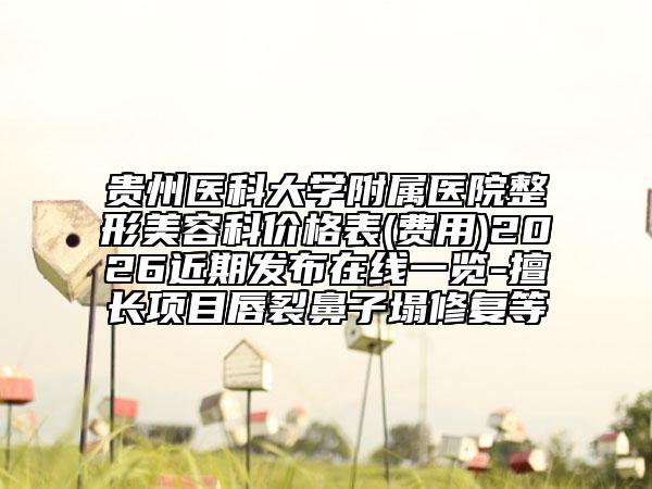 贵州医科大学附属医院整形美容科价格表(费用)2026近期发布在线一览-擅长项目唇裂鼻子塌修复等