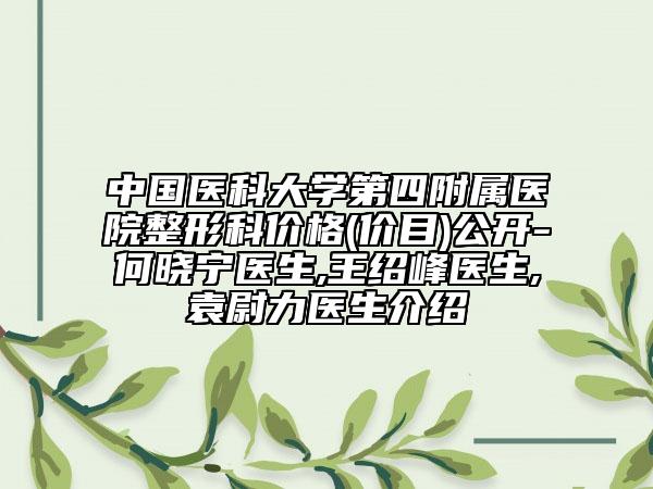 中国医科大学第四附属医院整形科价格(价目)公开-何晓宁医生,王绍峰医生,袁尉力医生介绍