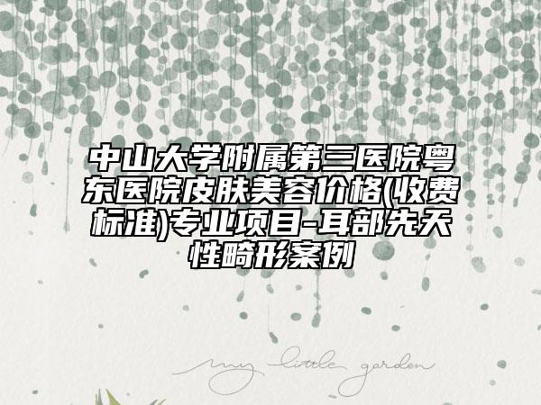 中山大学附属第三医院粤东医院皮肤美容价格(收费标准)专业项目-耳部先天性畸形案例