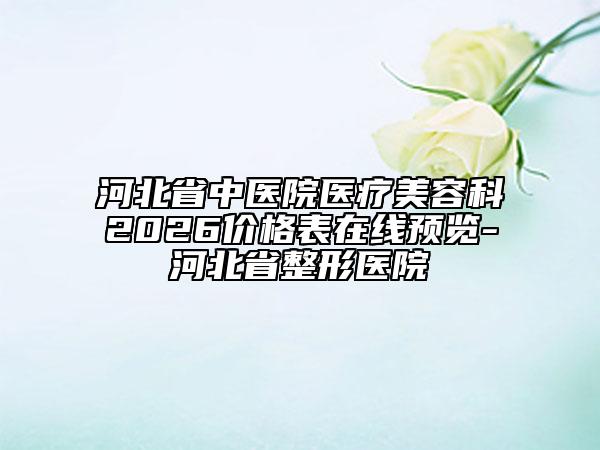 河北省中医院医疗美容科2026价格表在线预览-河北省整形医院
