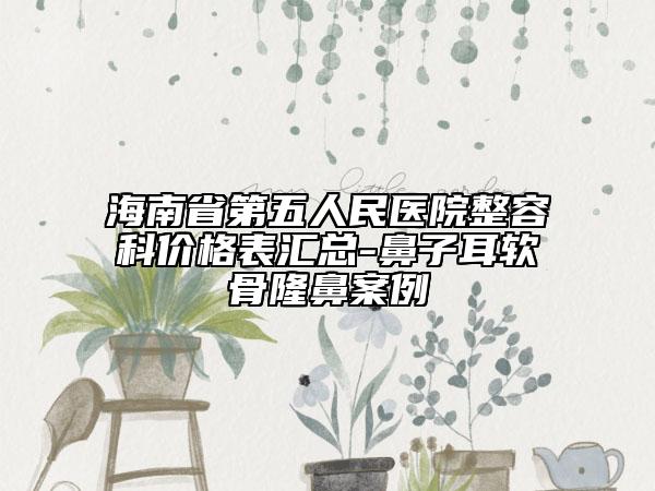 海南省第五人民医院整容科价格表汇总-鼻子耳软骨隆鼻案例