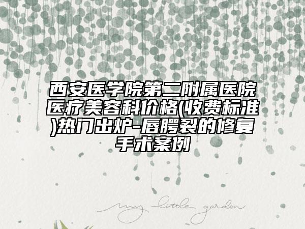 西安医学院第二附属医院医疗美容科价格(收费标准)热门出炉-唇腭裂的修复手术案例