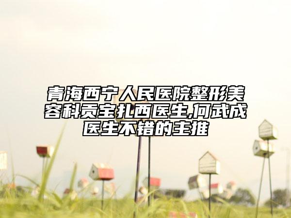 青海西宁人民医院整形美容科贡宝扎西医生,何武成医生不错的主推