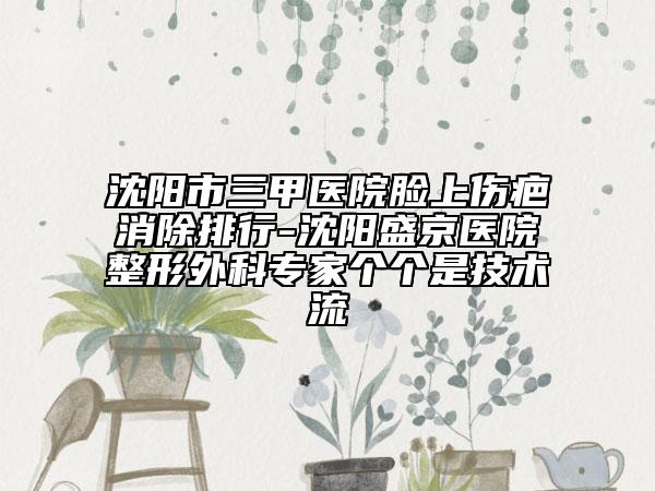 沈阳市三甲医院脸上伤疤消除排行-沈阳盛京医院整形外科专家个个是技术流