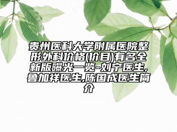 贵州医科大学附属医院整形外科价格(价目)有名全新版曝光一览-刘宁医生,鲁加祥医生,陈国成医生简介