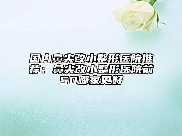 国内鼻尖改小整形医院推荐：鼻尖改小整形医院前50哪家更好