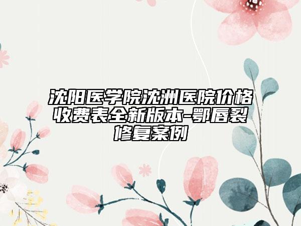 沈阳医学院沈洲医院价格收费表全新版本-鄂唇裂修复案例