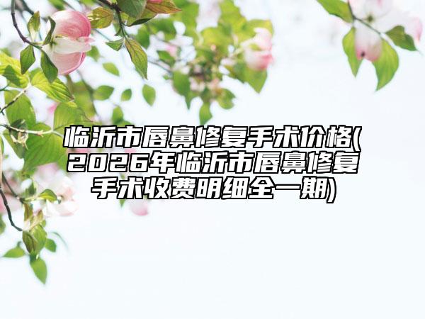 临沂市唇鼻修复手术价格(2026年临沂市唇鼻修复手术收费明细全一期)