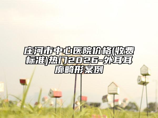 庄河市中心医院价格(收费标准)热门2026-外耳耳廓畸形案例