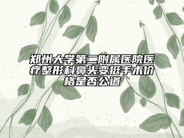郑州大学第二附属医院医疗整形科鼻头变挺手术价格是否公道