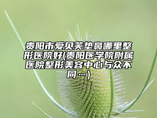 贵阳市爱贝芙垫鼻哪里整形医院好(贵阳医学院附属医院整形美容中心与众不同…)