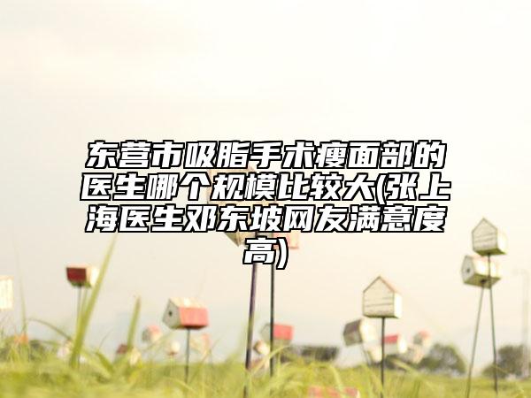 东营市吸脂手术瘦面部的医生哪个规模比较大(张上海医生邓东坡网友满意度高)