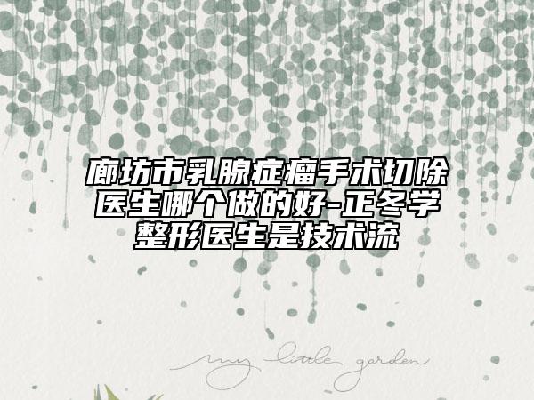 廊坊市乳腺症瘤手术切除医生哪个做的好-正冬学整形医生是技术流