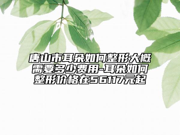 唐山市耳朵如何整形大概需要多少费用-耳朵如何整形价格在56117元起