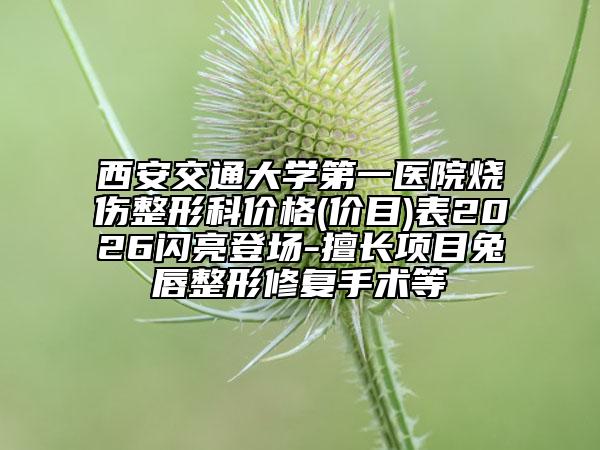 西安交通大学第一医院烧伤整形科价格(价目)表2026闪亮登场-擅长项目兔唇整形修复手术等