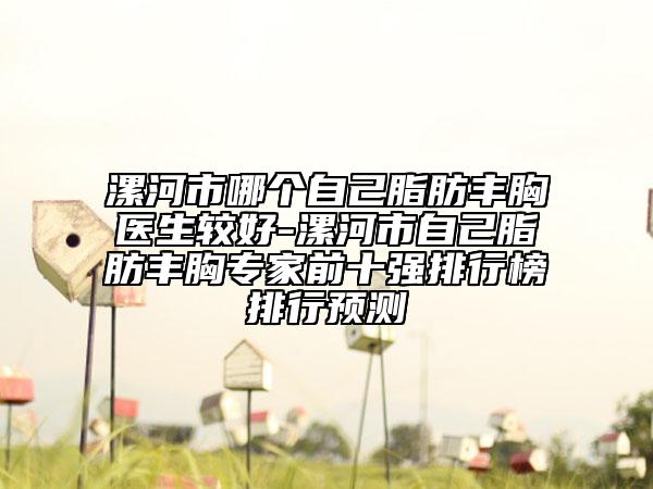 漯河市哪个自己脂肪丰胸医生较好-漯河市自己脂肪丰胸专家前十强排行榜排行预测