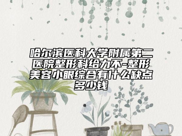 哈尔滨医科大学附属第二医院整形科给力不-整形美容小眼综合有什么缺点多少钱