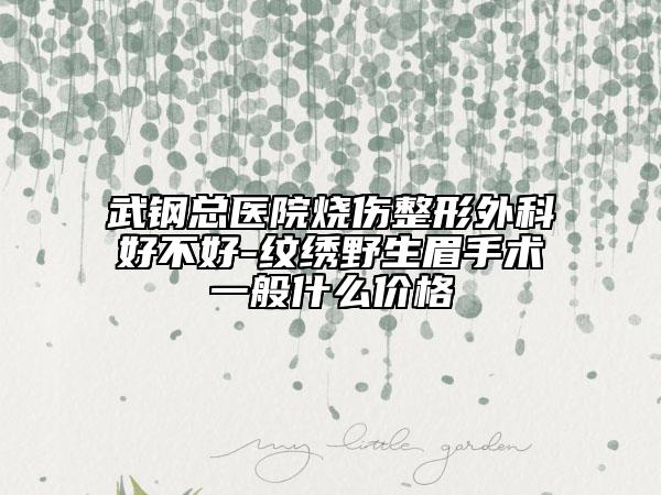 武钢总医院烧伤整形外科好不好-纹绣野生眉手术一般什么价格