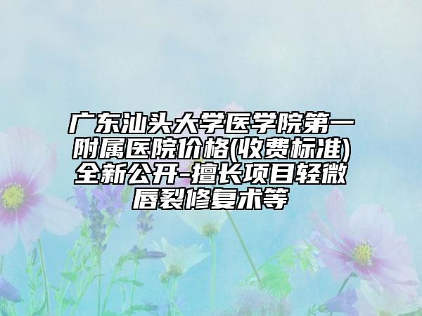 广东汕头大学医学院第一附属医院价格(收费标准)全新公开-擅长项目轻微唇裂修复术等