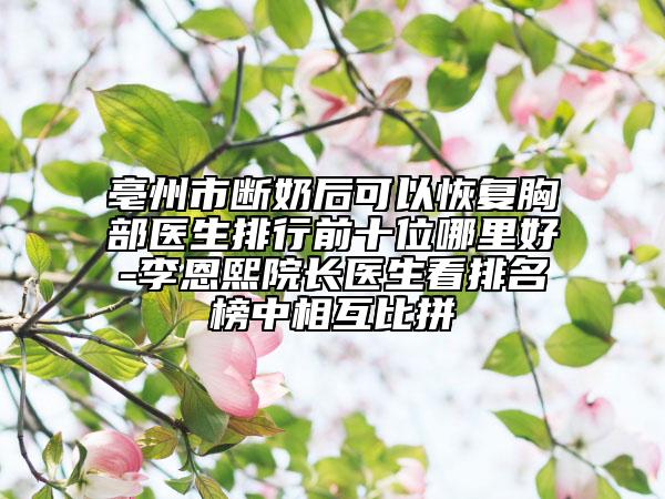 亳州市断奶后可以恢复胸部医生排行前十位哪里好-李恩熙院长医生看排名榜中相互比拼