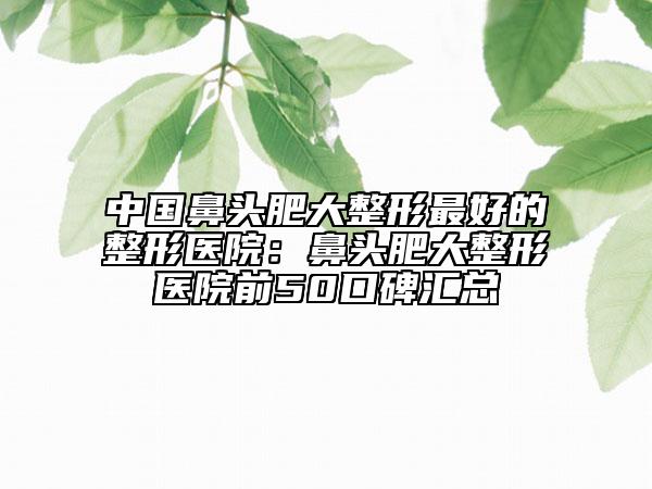 中国鼻头肥大整形最好的整形医院：鼻头肥大整形医院前50口碑汇总