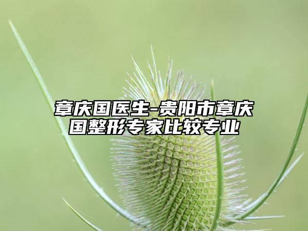 章庆国医生-贵阳市章庆国整形专家比较专业