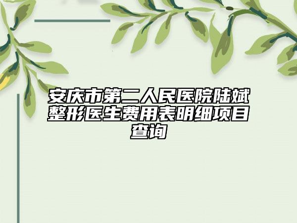安庆市第二人民医院陆斌整形医生费用表明细项目查询