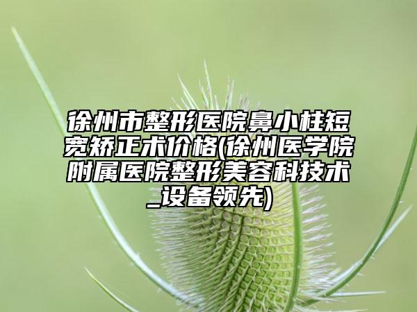徐州市整形医院鼻小柱短宽矫正术价格(徐州医学院附属医院整形美容科技术_设备领先)